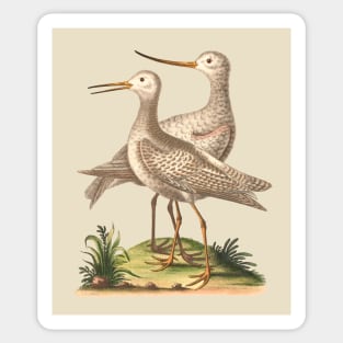 Pair of Birds Nature Illustration Sticker